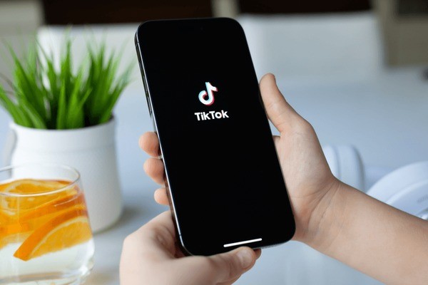 10 Video TikTok Downloader Terbaik untuk Pengguna di 2026